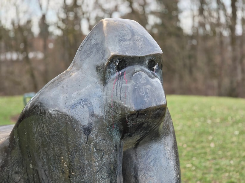 Samsung Galaxy S26 Ultra - Originalaufnahmen