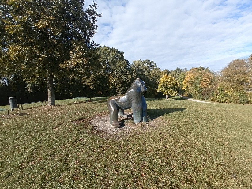 Cat S75 - Originalaufnahmen