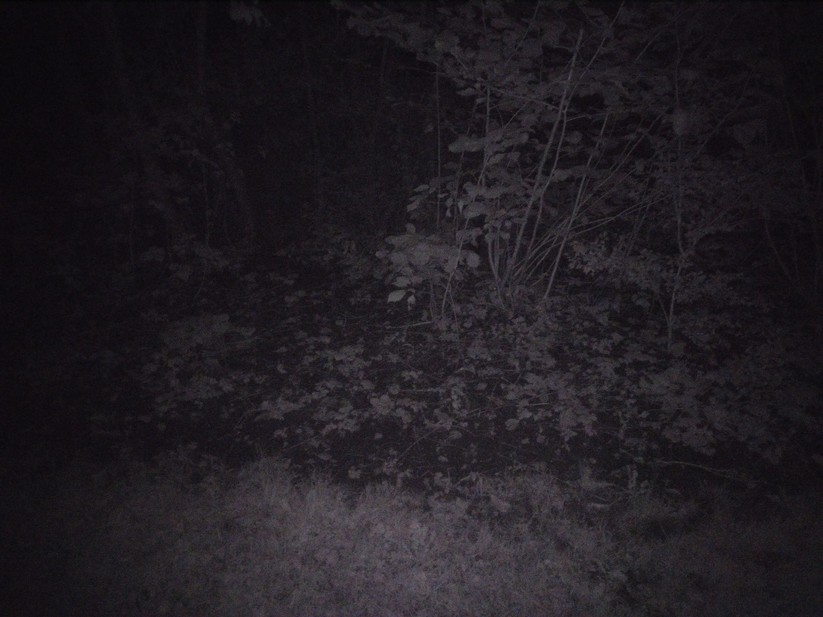 AGM Glory G1S - Originalaufnahmen 