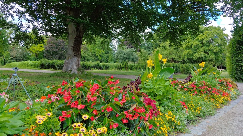 Redmagic 10 Air - Originalaufnahmen 