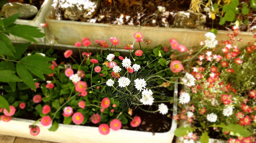 Samsung Galaxy Tab S6 Lite