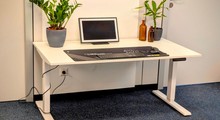 Assmann Y-Line