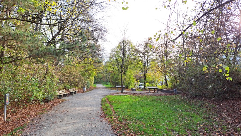 Samsung Galaxy A53 - Originalaufnahmen 