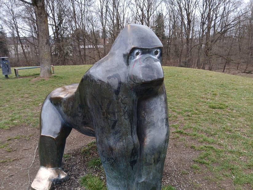 Samsung Galaxy Xcover 7 - Originalaufnahmen 