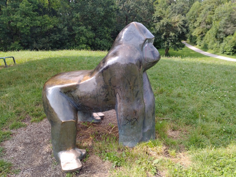 T Phone 2 Pro - Originalaufnahmen