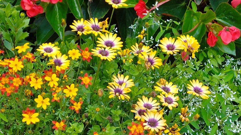 Redmagic 10 Air - Originalaufnahmen 