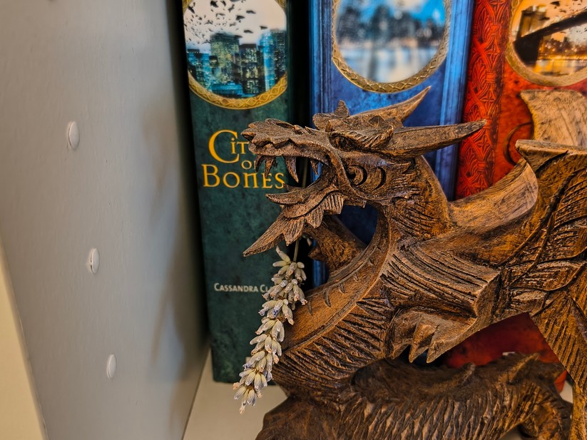 Motorola Razr 60 - Originalaufnahmen