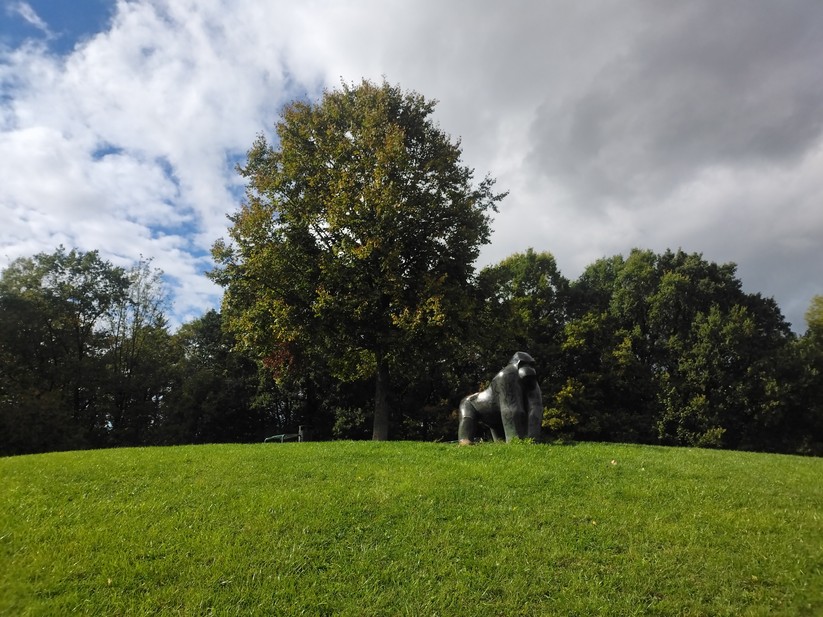 AGM Glory G1S - Originalaufnahmen