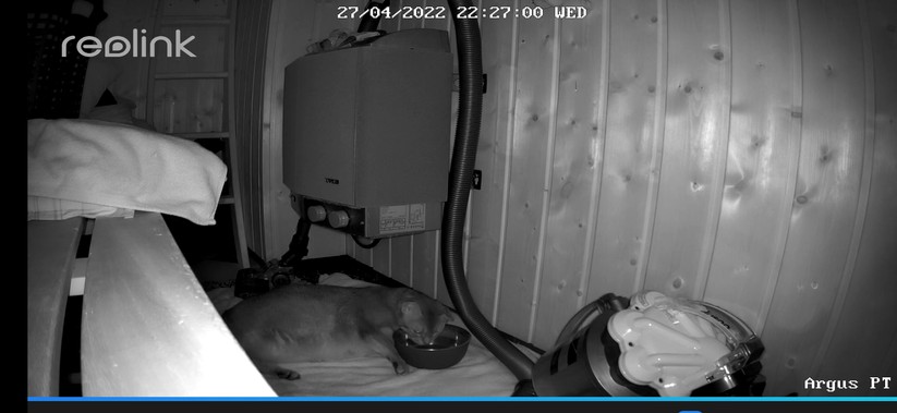 Reolink Argus PT 2K: Die Nachtaufnahme ist Dank 2K sehr detailreich, aber nicht ganz so hell wie bei der Eufy.