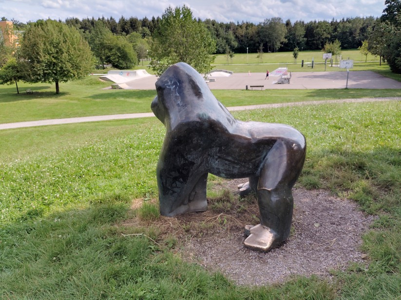 T Phone 2 Pro - Originalaufnahmen