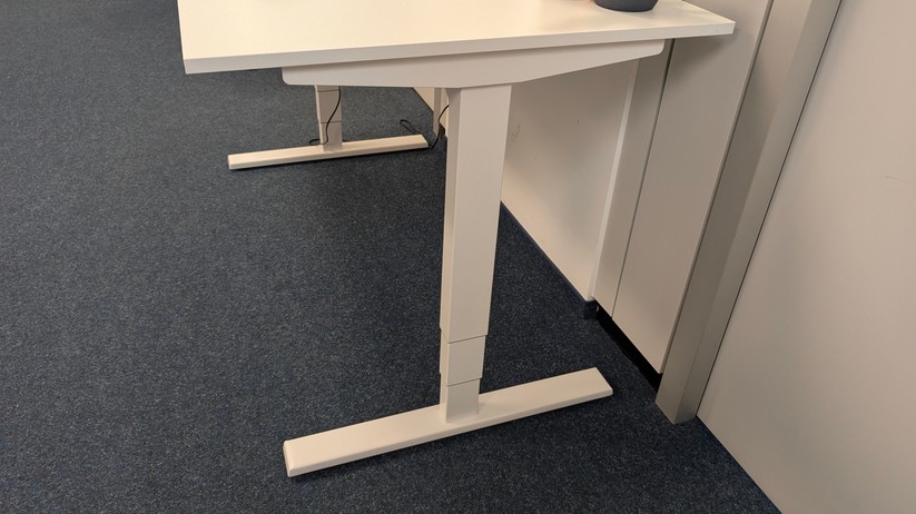 Assmann Y-Line