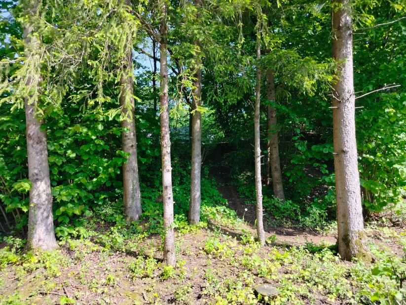 Realme 9 - Originalaufnahmen 