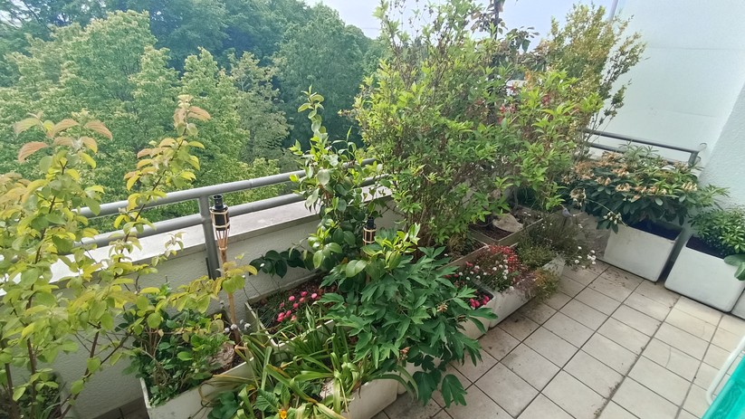 Fotos des Xiaomi Redmi Note 10S