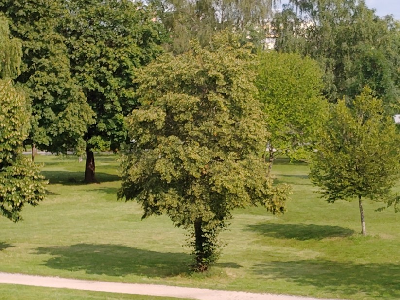 T Phone 2 Pro - Originalaufnahmen