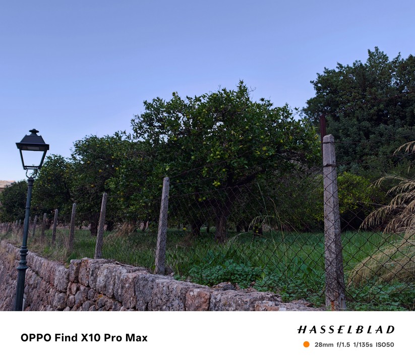 Oppo Find X10 Pro Max