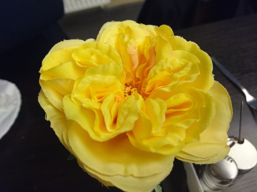 Testbilder: Sony Xperia Z5 (artificial light)