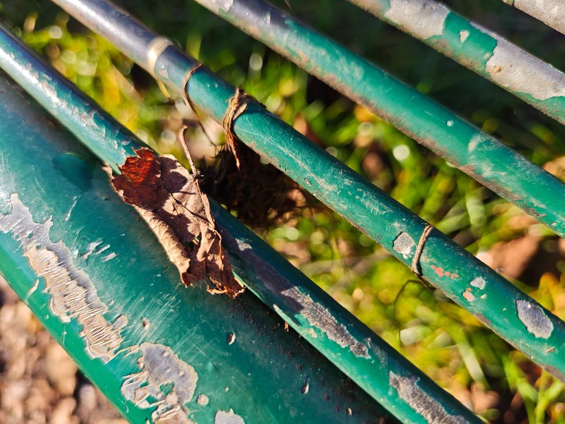 Poco F8 Pro - Originalaufnahmen 