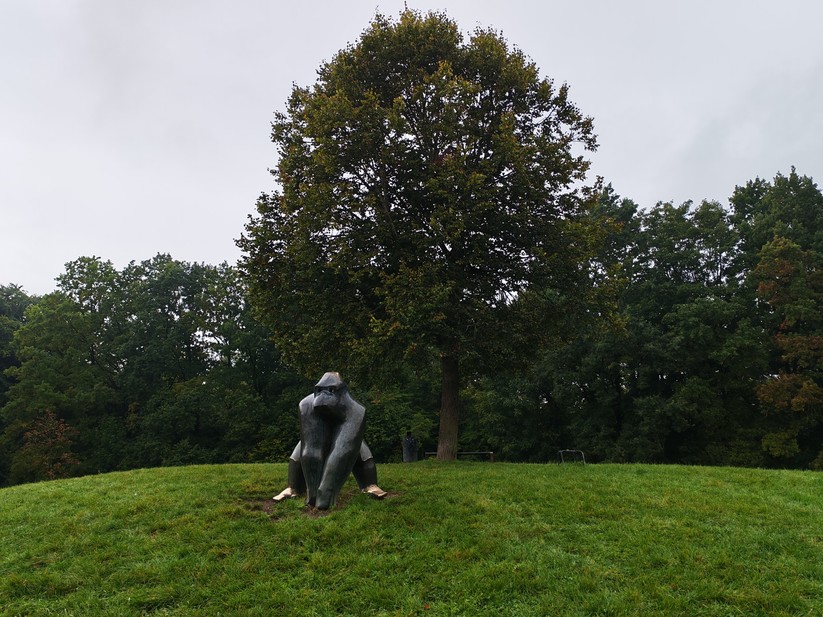 Honor 400 - Originalaufnahmen