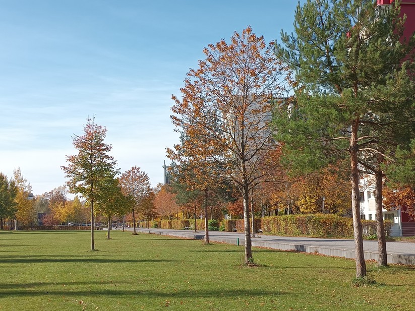 Oukitel WP60 - Originalaufnahmen