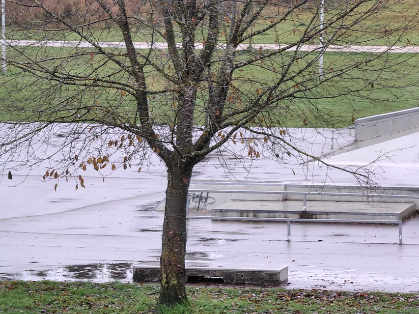 Huawei Mate 50 Pro - Originalaufnahmen 