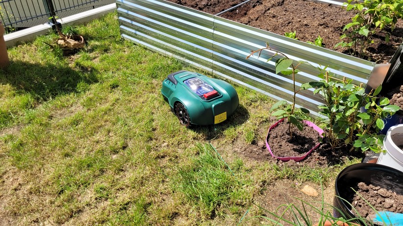 Schrott oder gut? LidlMähroboter Parkside PMRA 20Li B2 für 199 Euro