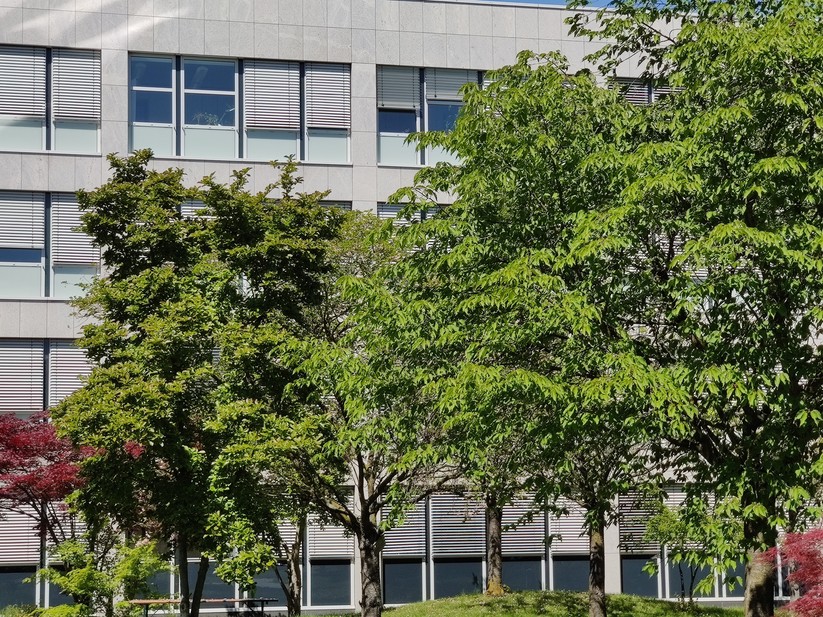 Geschossen mit dem Oneplus 7 Pro