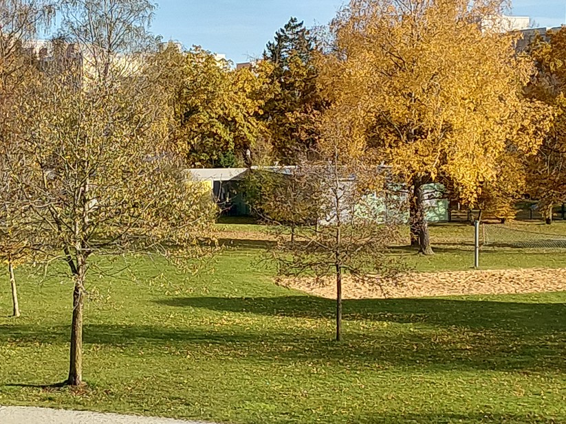 Samsung Galaxy Xcover 7 Pro – Originalaufnahmen