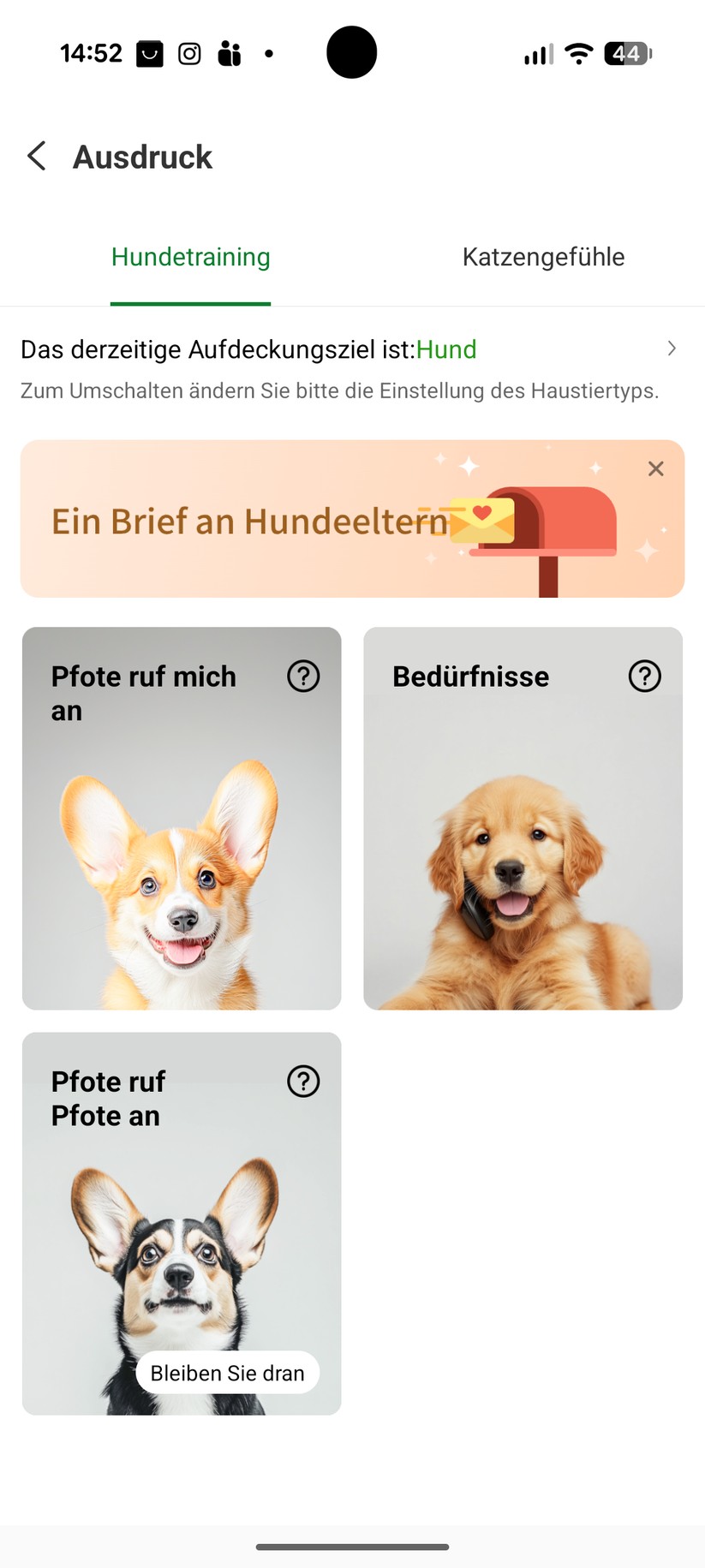Glocalme Petphone – Bilderstrecke