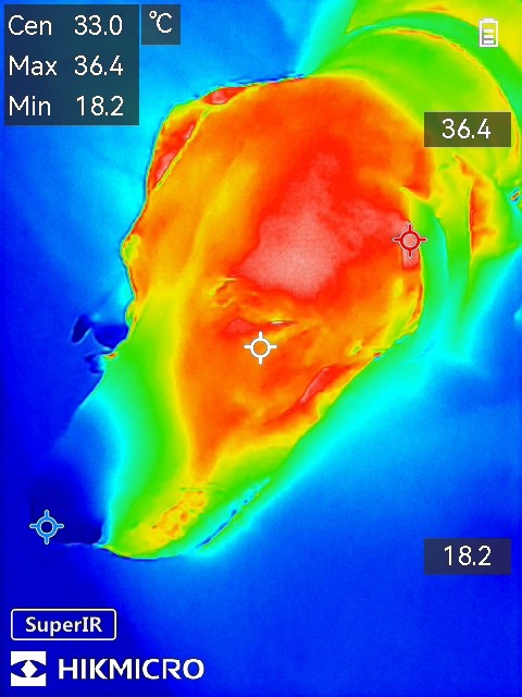 Hikmicro Minix Screenshots