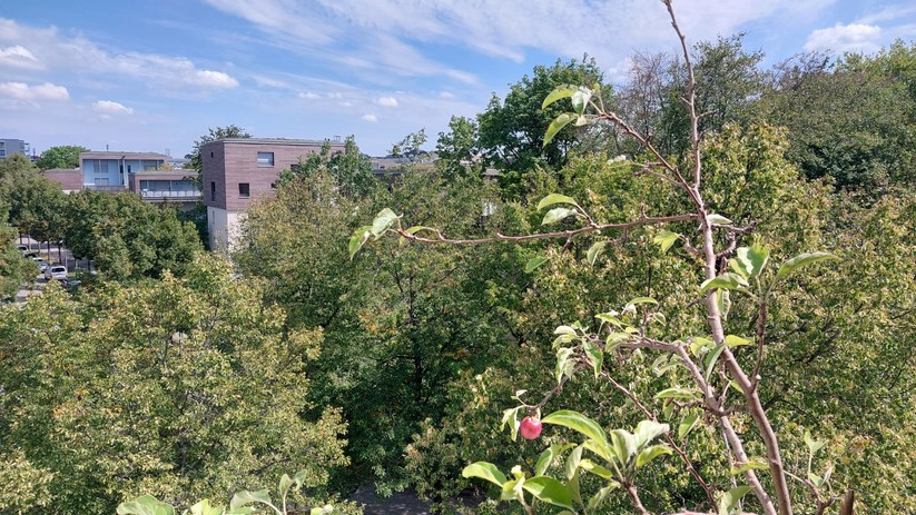 Samsung Galaxy Xcover 6 Pro