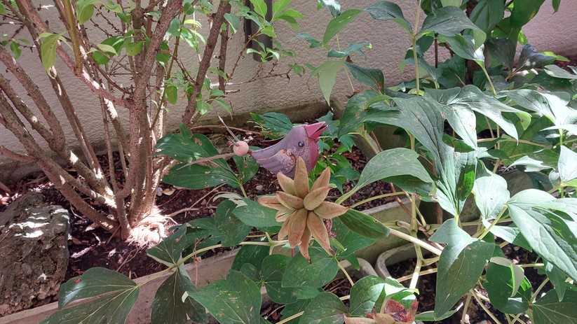 Samsung Galaxy Xcover 6 Pro