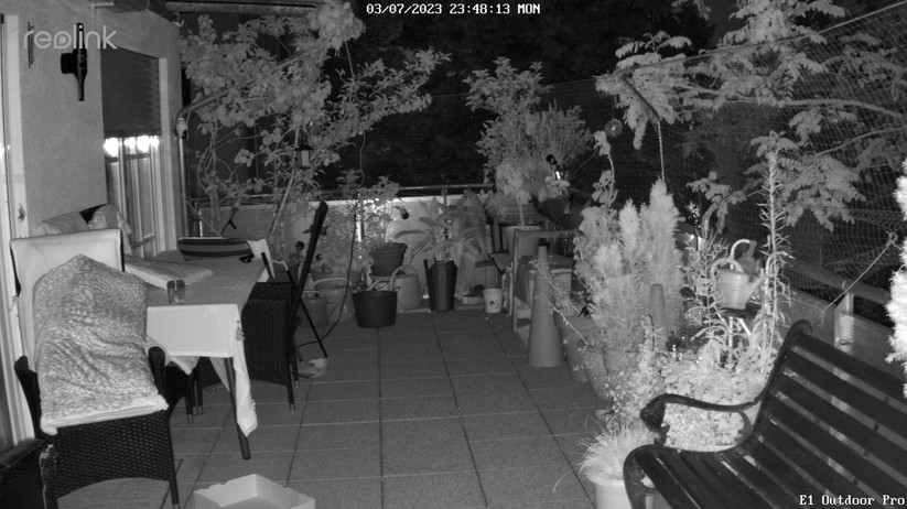 Reolink E1 Outdoor Pro: Nachtaufnahmen