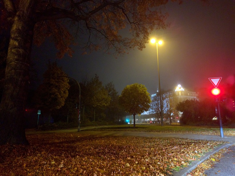 Google Nexus 5X (low light)