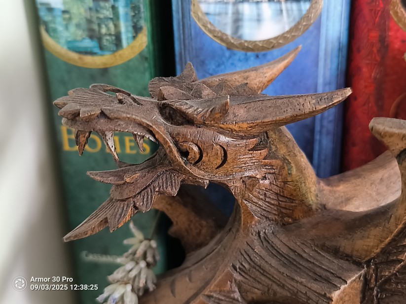 Ulefone Armor 30 Pro - Originalaufnahmen