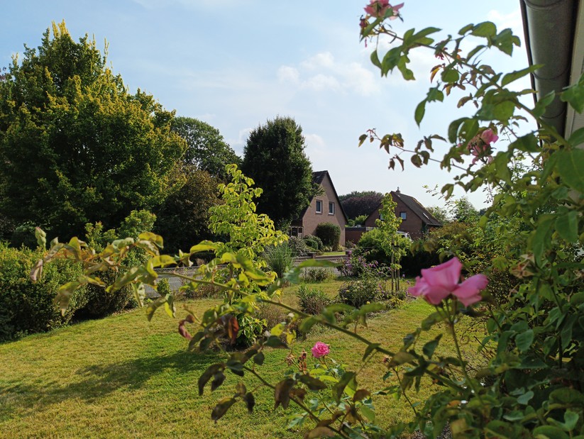 Blackview BV8200 - Originalaufnahmen