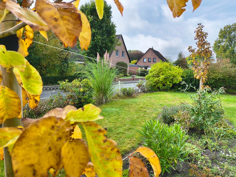 Motorola Razr 60 - Originalaufnahmen