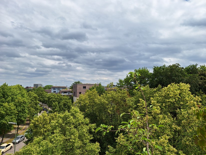 Samsung Galaxy A54 - Originalaufnahmen 