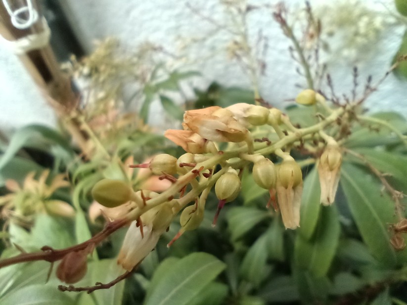 Unihertz Luna - Originalaufnahmen 