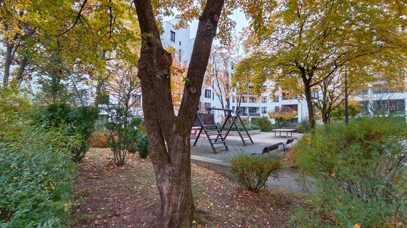 Fotos mit dem Vivo Y72 5G