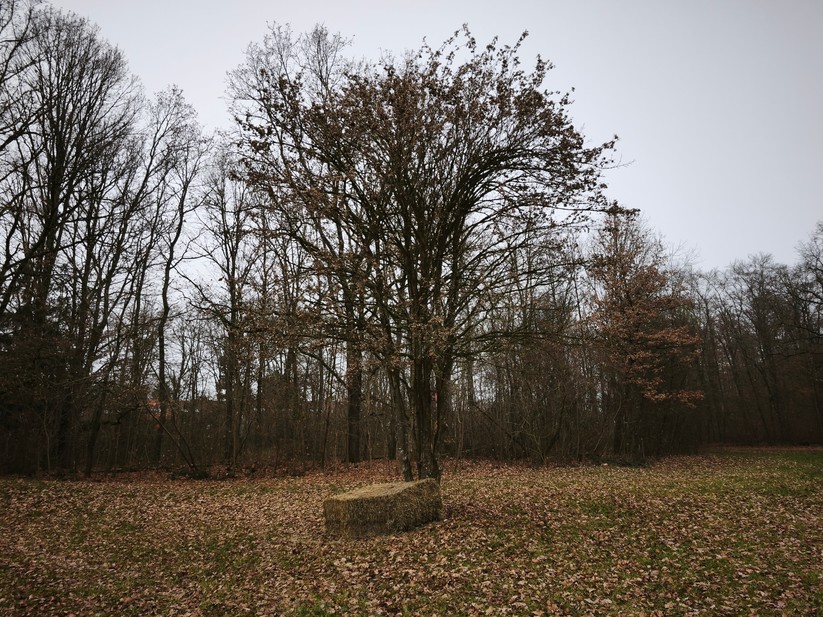 Xiaomi 15T - Originalaufnahmen