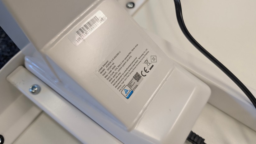 Assmann Y-Line