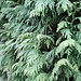 Testfoto geschossen mit einem Samsung GT-S8530 Wave II | BestBoyZ