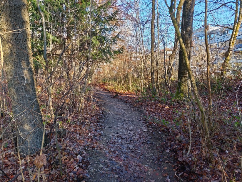 Poco F8 Pro - Originalaufnahmen 