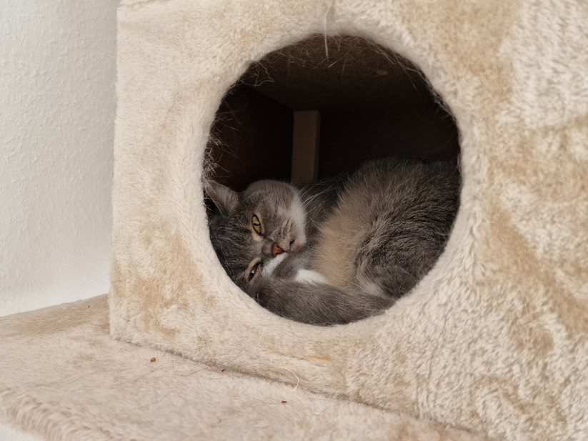 Samsung Galaxy S22 Ultra