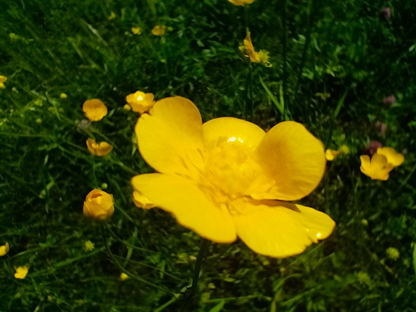 Realme 9 - Originalaufnahmen 