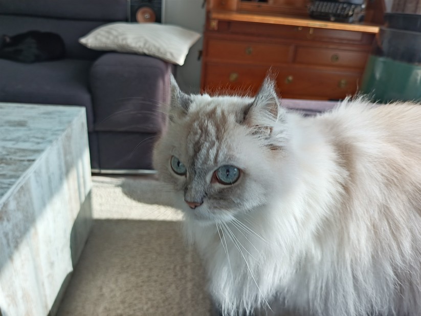 Oukitel WP56 - Originalaufnahmen 