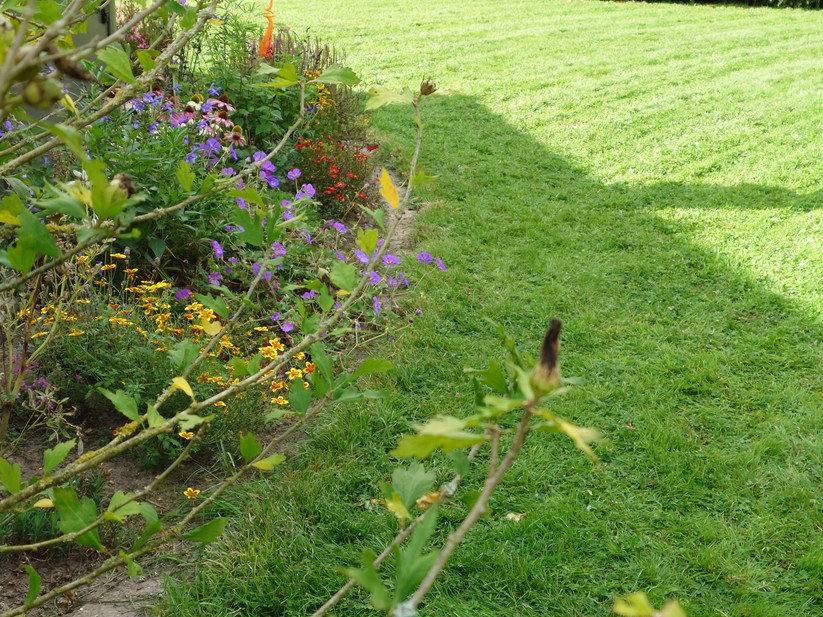 Sony Xperia 1 VII - Originalaufnahmen 