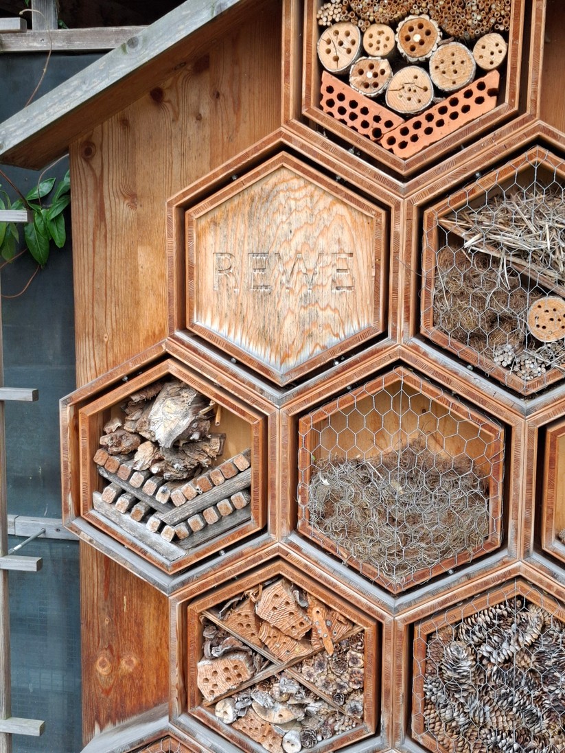 Samsung Galaxy A55 – Originalaufnahmen