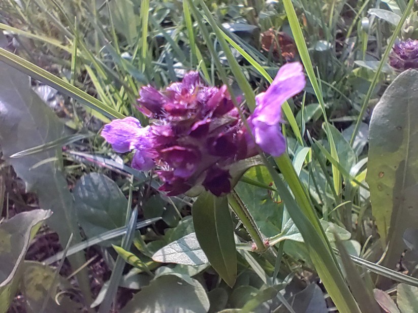 AGM G2 Guardian - Originalaufnahmen