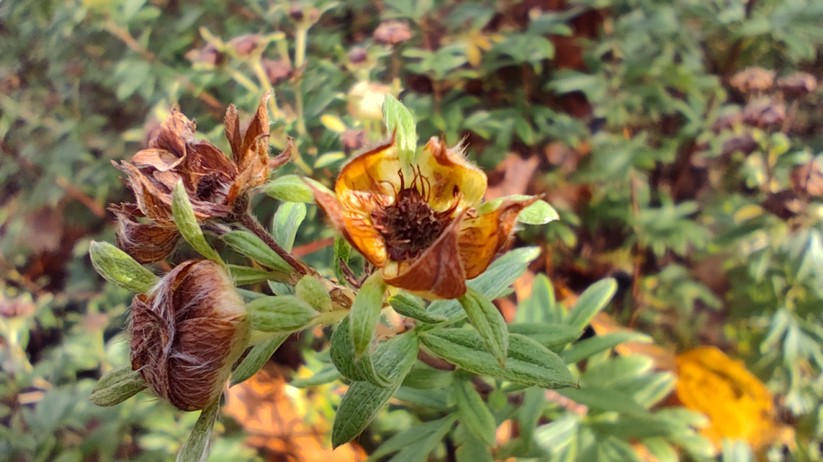 Xiaomi 12T Pro - Originalaufnahmen